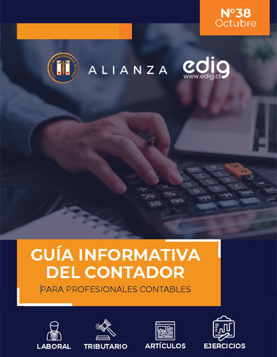 Guía Informativa del Contador / EDIG - CONTACH Nº 38